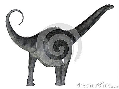 Argentinosaurus Dinosaur Tail Stock Photo