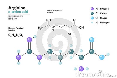 Arginine. Arg C6H14N4O2. Î±-Amino Acid. Structural Chemical Formula and Molecule 3d Model. Atoms with Color Coding. Vector Vector Illustration