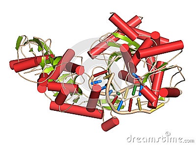 Argonaute-2 (human) enzyme. Part of the RISC complex and plays role in RNA interference (RNAi). 3D illustration Cartoon Illustration