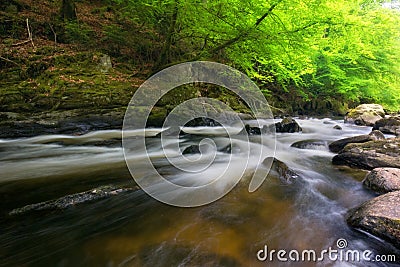 Argyll Forest Park , Scottish highlands, Scotland Stock Photo