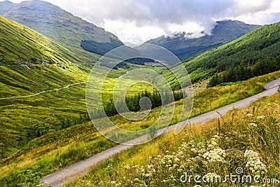 Argyll Forest Park in Scotland Stock Photo