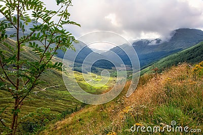 Argyll Forest Park in the Scottish Highlands Stock Photo