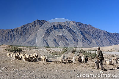 Arid desert landscape near Tsetang high on the Tibetan Plateau Editorial Stock Photo