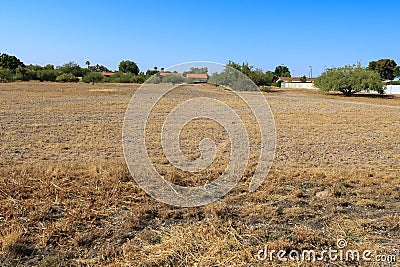 Arid Desert Patch in Residential Area of Phoenix, AZ Stock Photo