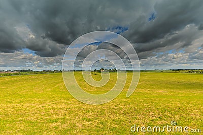Arid desiccating meadow landscape between Lageraar and Ter Aar Stock Photo