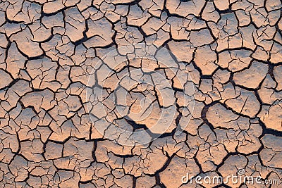 Arid and dry cracked land Stock Photo