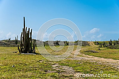 The arid nature of Aruba. Caribbean landscape Stock Photo