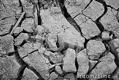 Arid nature. Closeup Crack soil black and white texture Stock Photo