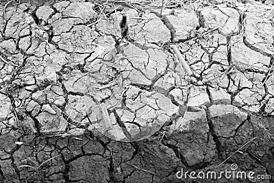 Arid nature. Closeup Crack soil black and white Stock Photo