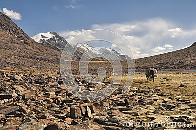 Arid valley in Tajikistan Stock Photo