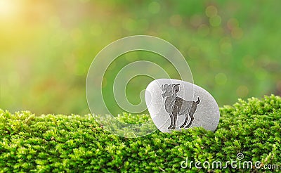 Aries zodiac symbol in stone Stock Photo