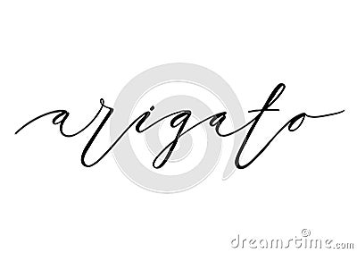Arigato hand lettering Vector Illustration