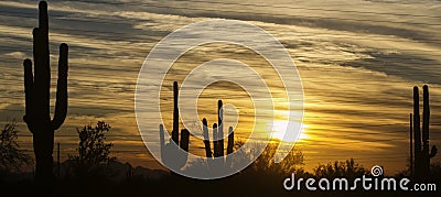 Arizona desert landscape, Phoenix,Scottsdale area. Stock Photo