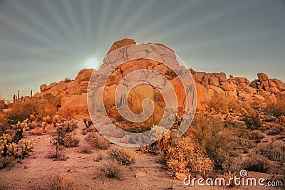 Arizona desert landscape with sun setting Stock Photo