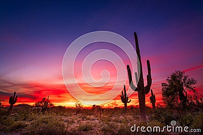 Arizona desert landscape at sunset Stock Photo