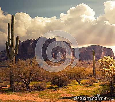 Arizona desert wild west landscape Stock Photo