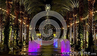 Arizona shopping mall Christmas Tree and lighted palm trees Stock Photo