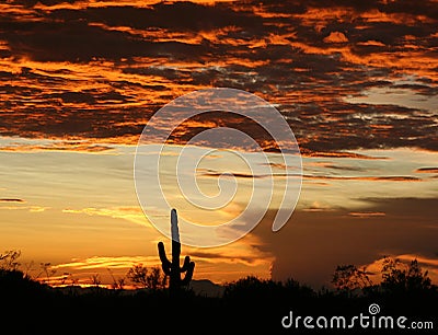 Arizona sunset Stock Photo