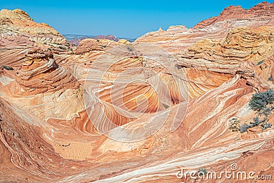 Arizona Wave - Famous Geology rock formation in Pariah Canyon Stock Photo