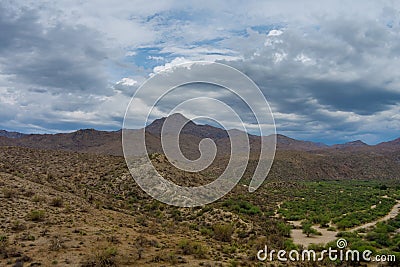 Arizona, wild west landscape with cactus view of desert valley mountains Stock Photo