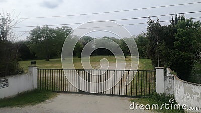 Arles green trees grass Stock Photo