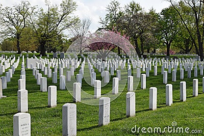 Arlington Cemetery in Arlington Virginia Editorial Stock Photo