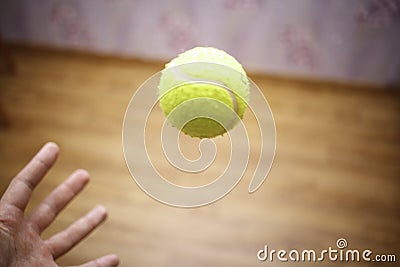 Arm with Ball Tennis Stock Photo