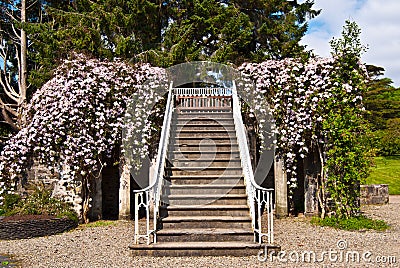 Armadale Castle Gardens Stock Photo