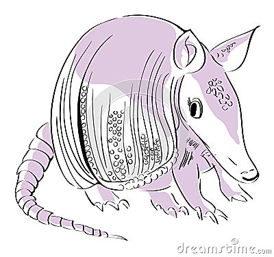 Armadillo Vector Illustration