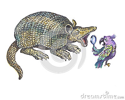 Armadillo and parrot Stock Photo