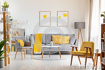 Armchairs and table in grey and yellow living room interior with Stock Photo