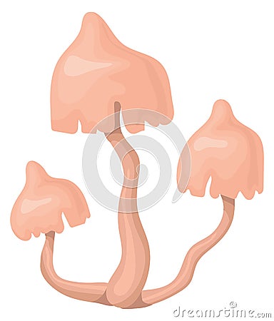 Armillaria fungus icon. Cartoon forest poison mushroom Vector Illustration