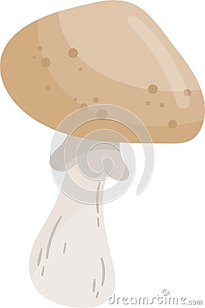 Armillaria Mellea Mushroom Plant Vector Illustration