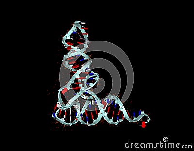 Arn De Transferencia Pdf