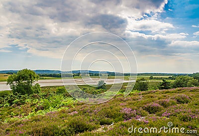 Arne Heathland in Dorset Stock Photo