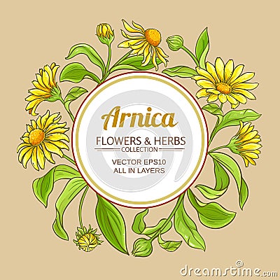 Arnica vector frame Vector Illustration