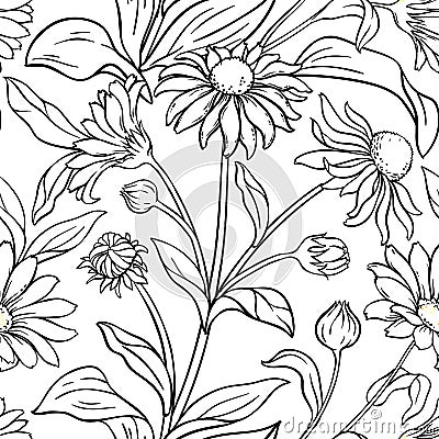 Arnica vector pattern Vector Illustration