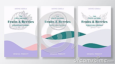 Aroma candle vector labels template set. Citrus and berries scent from local purveyors advert design. Sketch background Vector Illustration