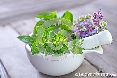 Aroma herb Stock Photo