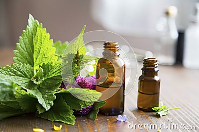 Aromatherapy essential oil bottles, herbal plants and oil Stock Photo