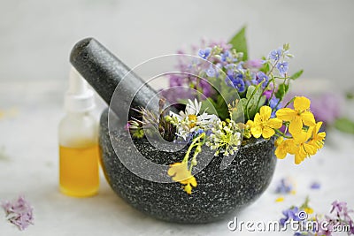 Aromatherapy. Natural medicinal plants and herbs in a mojar with pestle, natural floral extracts and oils, natural oils Stock Photo