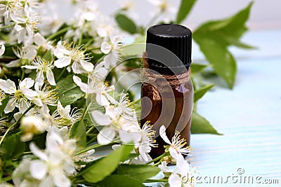 Aromatherapy oil bottle with the scent of spring cherry flowers Stock Photo