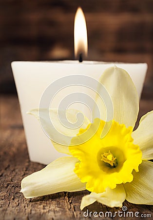 Aromatic candle and narcissus close-up Stock Photo