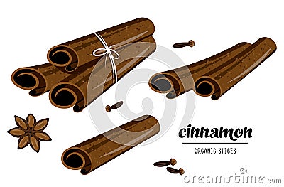 Aromatic condiment: organic cinnamon, star anise, and carnation on isolated white background. Vector Illustration