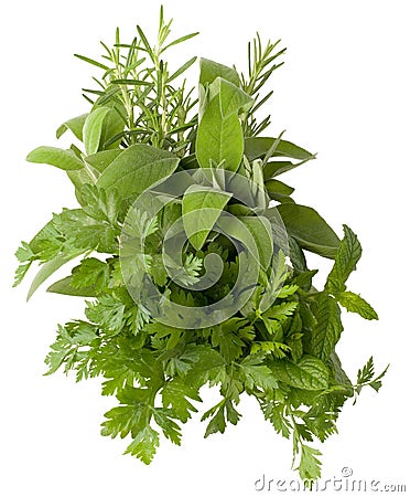 Aromatic herbs Stock Photo