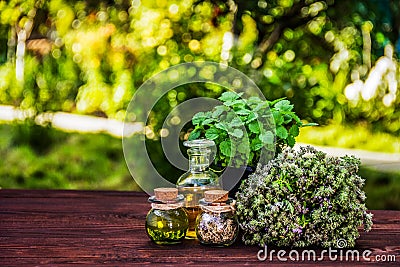 Aromatic herbs and essential oils. Thyme and mint pot. Vinegar and oil. Stock Photo