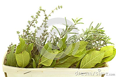 Aromatic herbs isolated Stock Photo