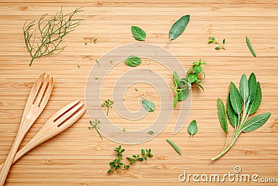 Aromatic herbs and spices green mint ,fennel ,oregano, sage,lem Stock Photo