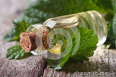 Aromatic oils Lemon balm in a glass bottle on old table Stock Photo