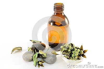 Aromatic spa oil Stock Photo